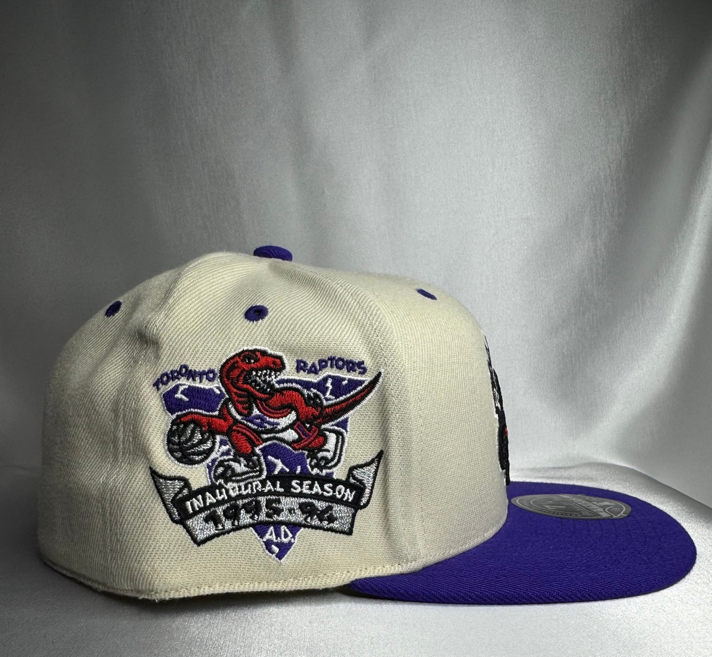 Mitchell & Ness Toronto Raptors Hardwood Classics Fitted 7 1/4 - ExclusiveCrowns