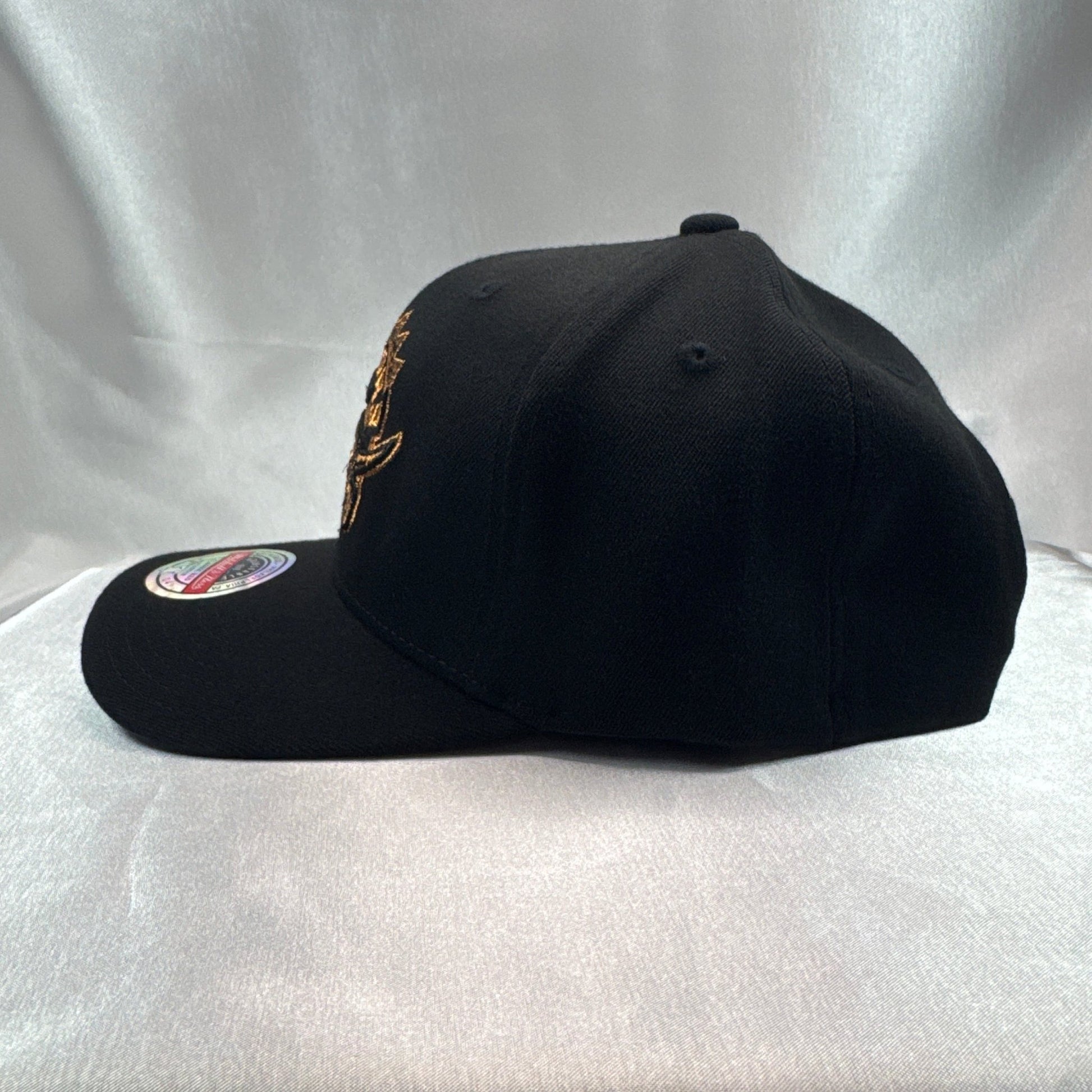 Mitchell & Ness Toronto Raptors Copper Logo - ExclusiveCrowns