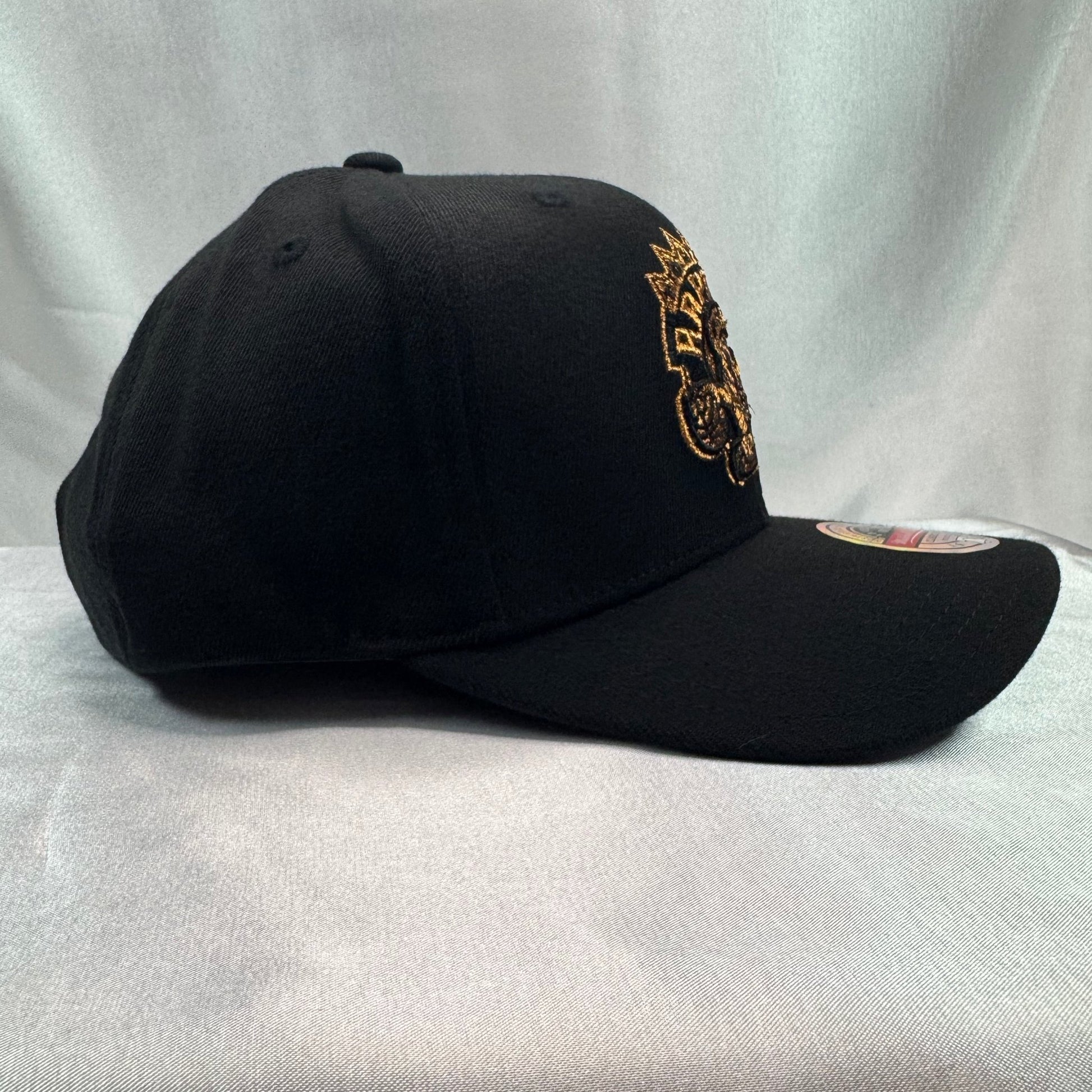 Mitchell & Ness Toronto Raptors Copper Logo - ExclusiveCrowns