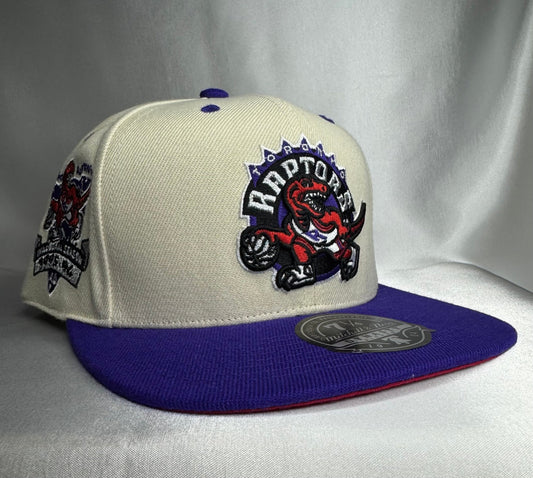 Mitchell & Ness Toronto Raptors Hardwood Classics Fitted 7 1/4 - ExclusiveCrowns